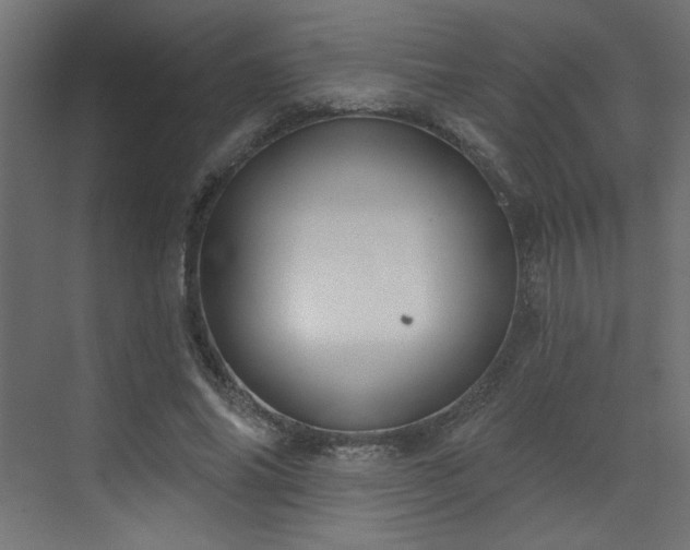 X0000073480686200607311201