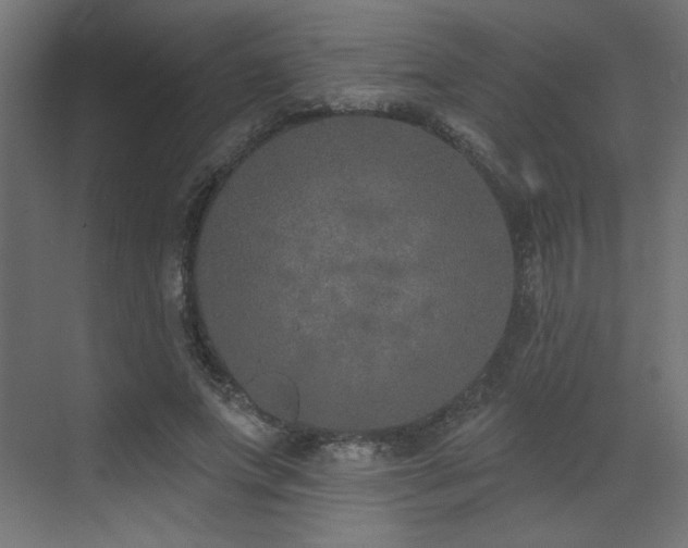 X0000073480687200607311201