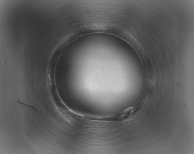 X0000073480688200607311201