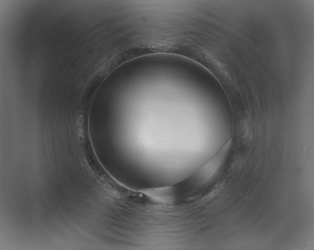 X0000073480689200607311201