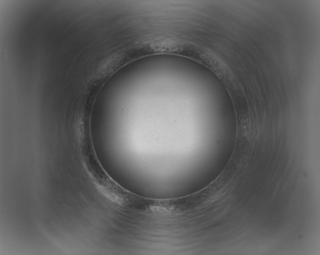 X0000073480690200607311201