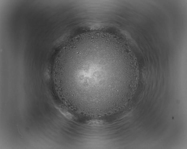 X0000073480691200607311201