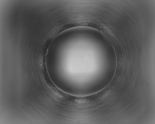 X0000073480693200607311201