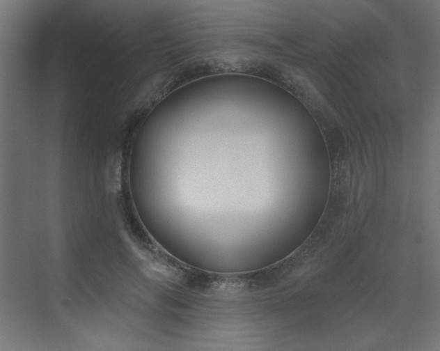 X0000073480694200607311201