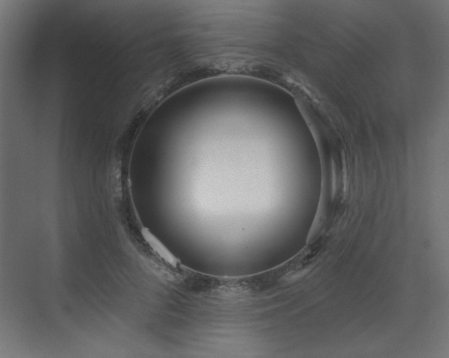 X0000073480696200607311201