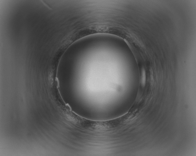 X0000073480697200607311201