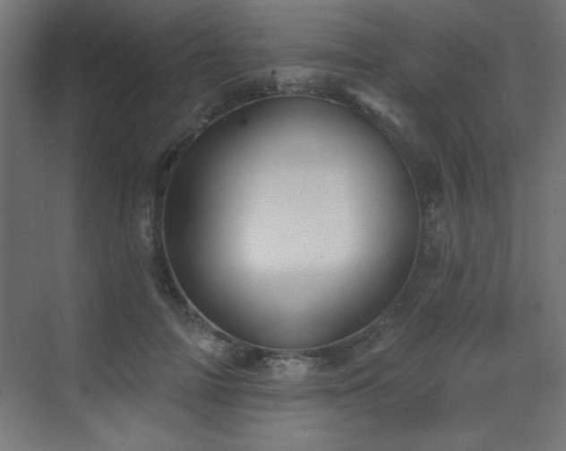 X0000073480698200607311201