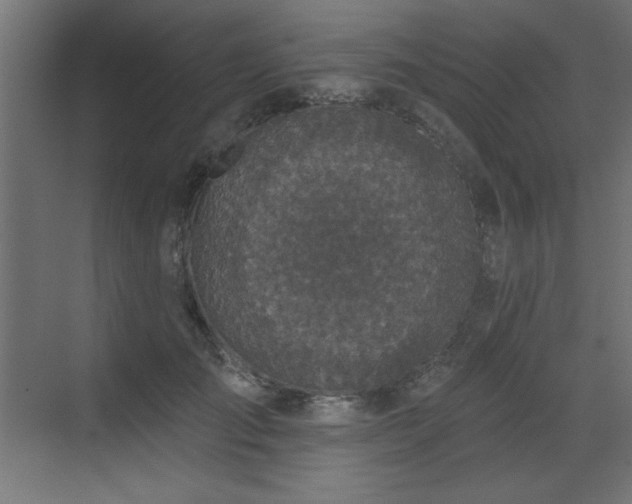 X0000073480701200607311201