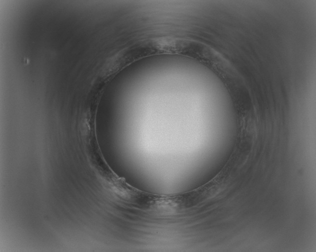 X0000073480702200607311201