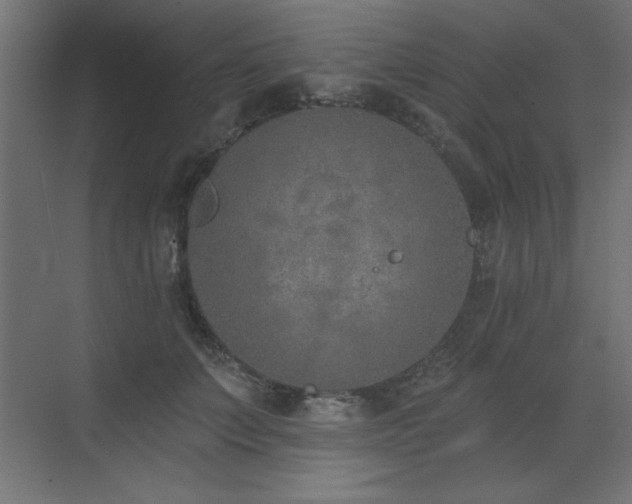 X0000073480703200607311201