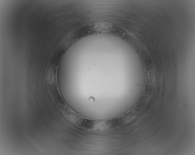 X0000073480705200607311201