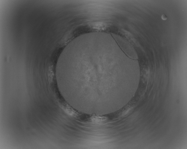 X0000073480707200607311200