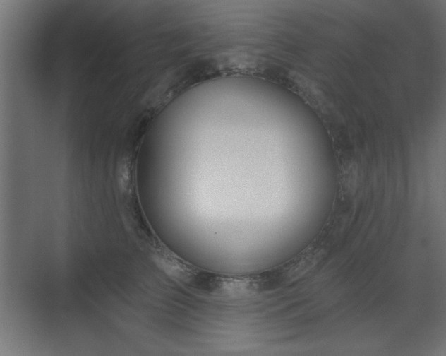 X0000073480709200607311200