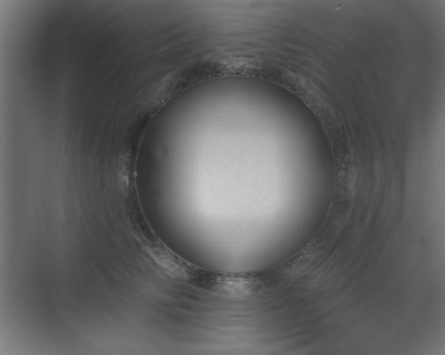 X0000073480710200607311200