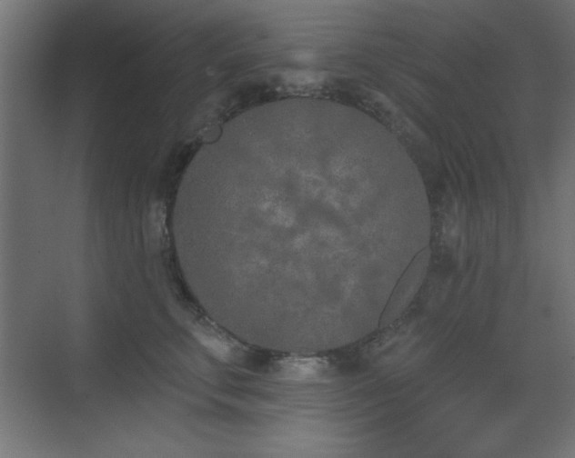 X0000073480711200607311200