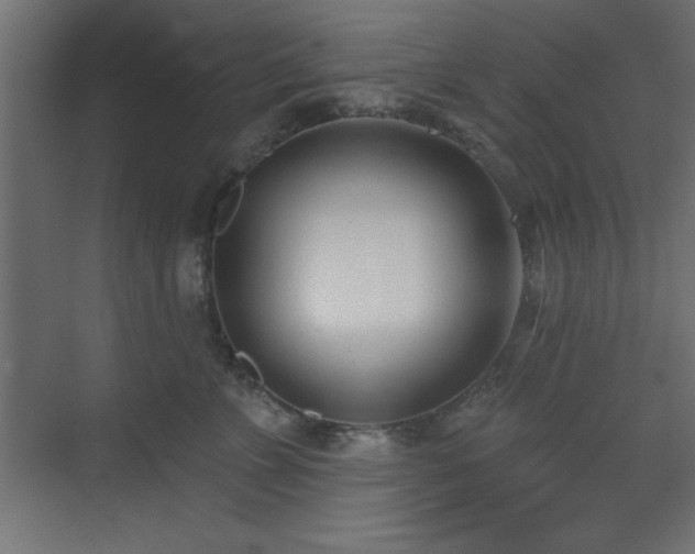 X0000073480715200607311200