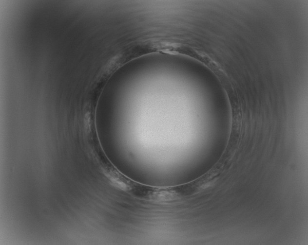 X0000073480716200607311200