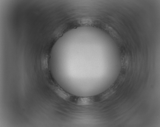 X0000073480717200607311200