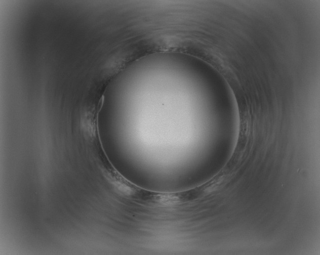 X0000073480719200607311200