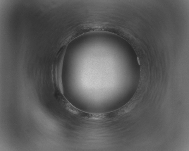 X0000073480720200607311200