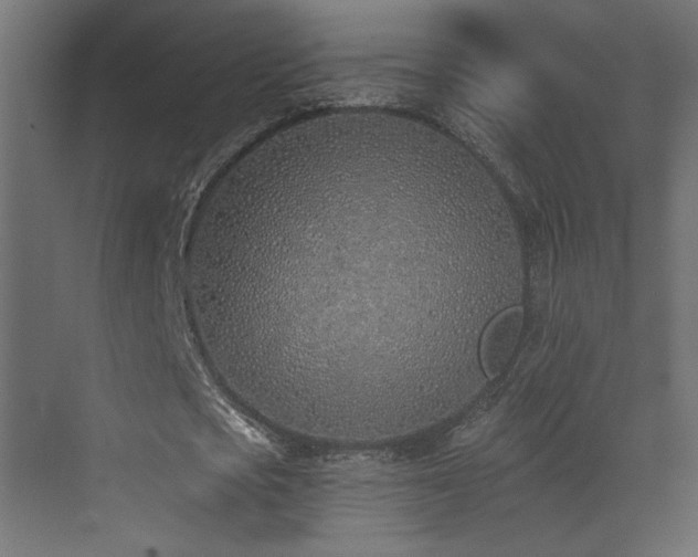 X0000073480721200607311159