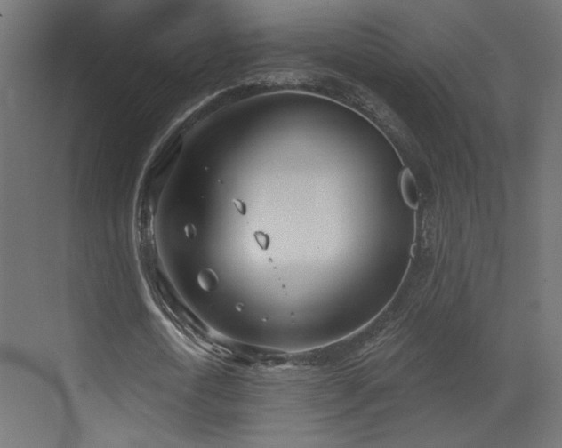 X0000073480722200607311159