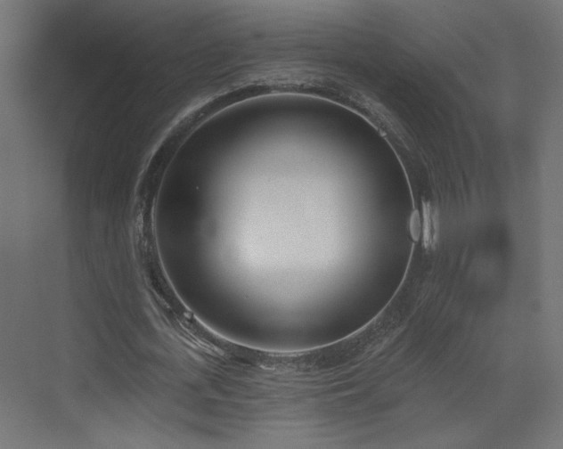 X0000073480723200607311200