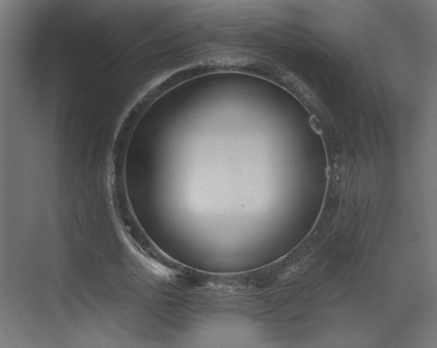 X0000073480726200607311200