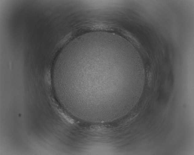 X0000073480729200607311200