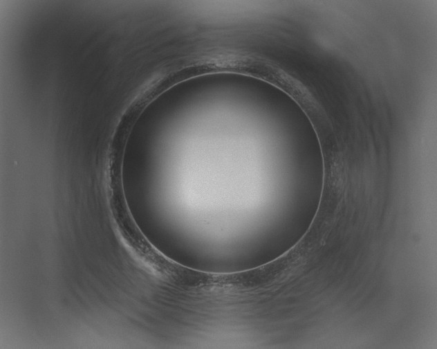 X0000073480730200607311200