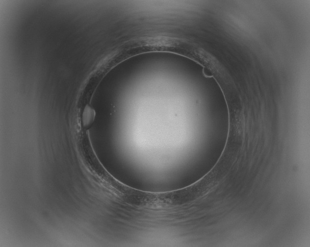 X0000073480731200607311200