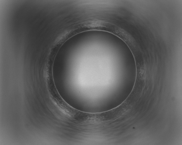 X0000073480732200607311200