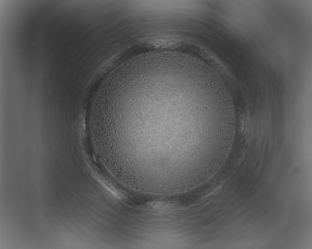 X0000073480733200607311200