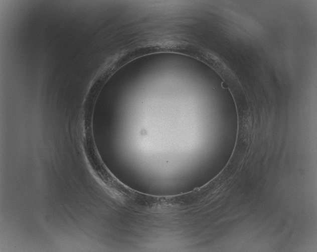 X0000073480734200607311200