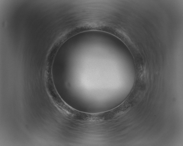 X0000073480736200607311200