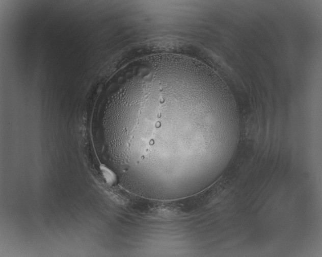 X0000073480737200607311200