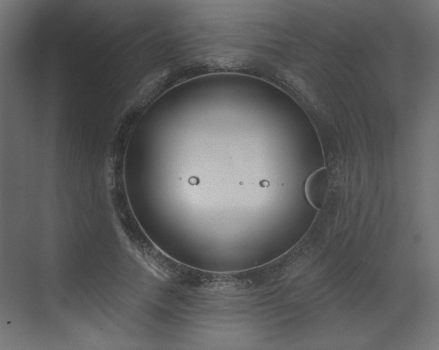 X0000073480738200607311200