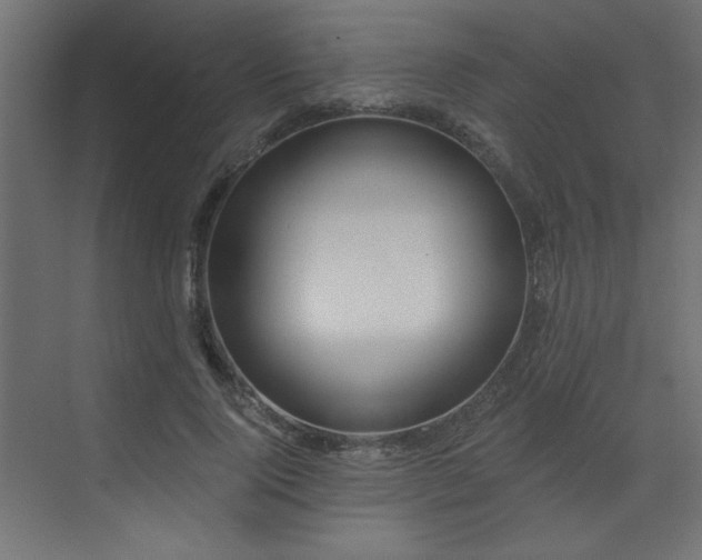 X0000073480740200607311200