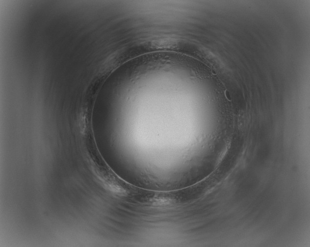 X0000073480741200607311200