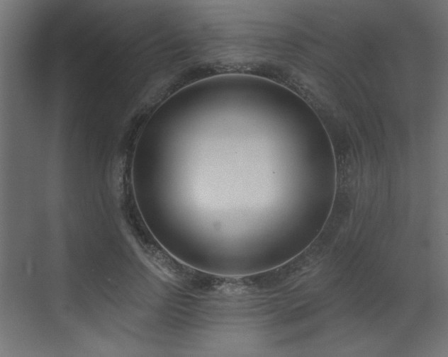 X0000073480742200607311200