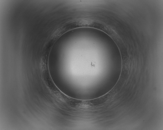 X0000073480743200607311200