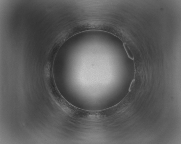 X0000073480744200607311200