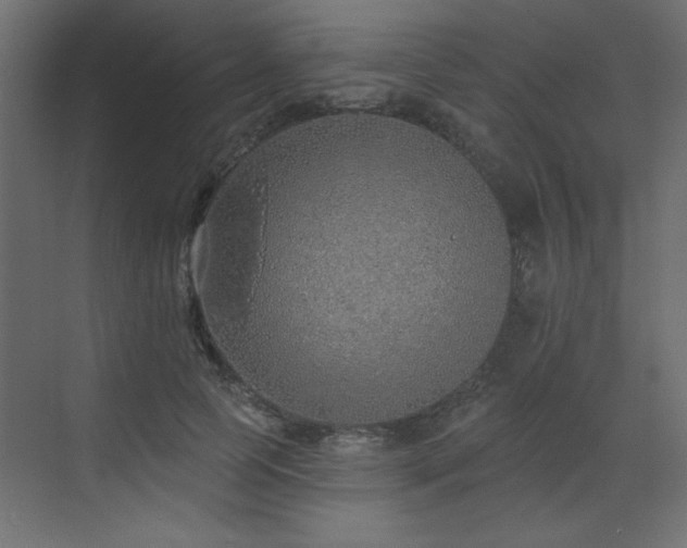 X0000073480745200607311200