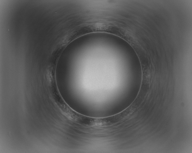 X0000073480746200607311200