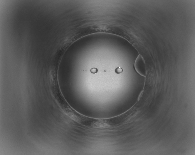 X0000073480747200607311200