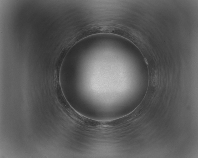 X0000073480748200607311200