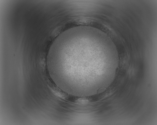 X0000073480749200607311200