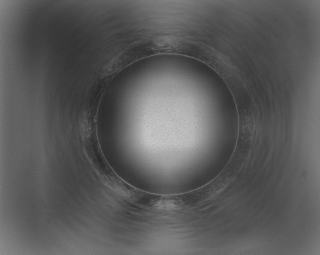 X0000073480751200607311200