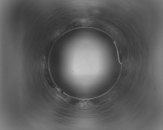 X0000073480752200607311200