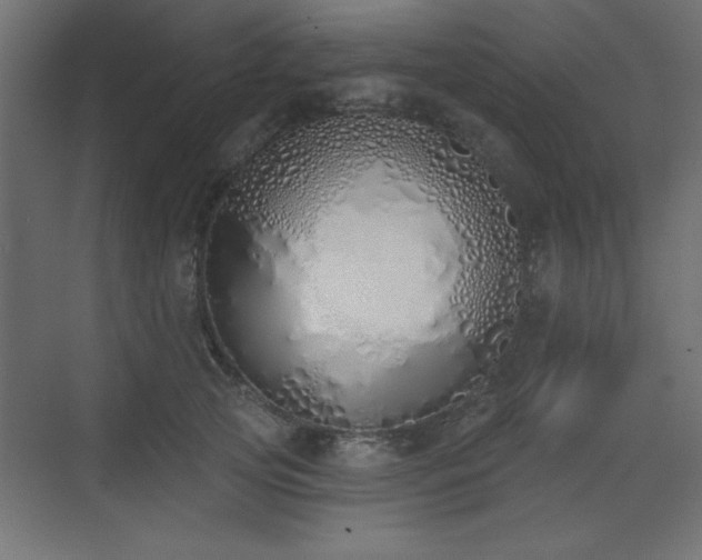 X0000073480753200607311200